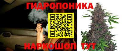 круглые Заволжье