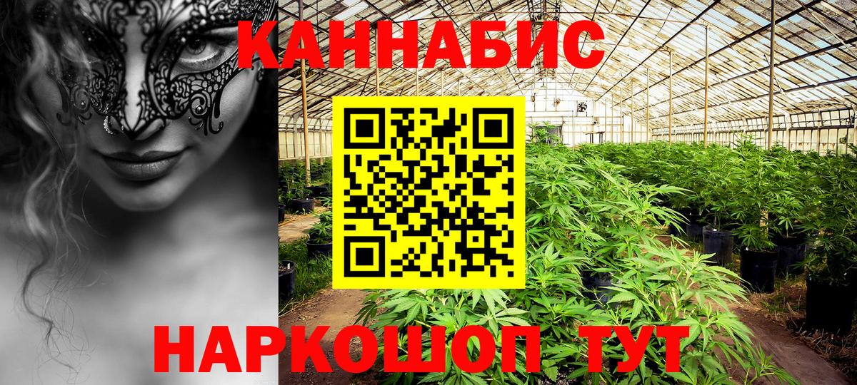 Бошки марихуана AK-47 Елабуга